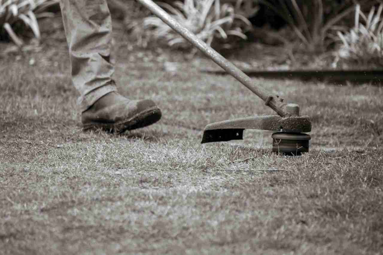 A worker uses a string trimmer to maintain a lawn, focusing on the grass edges outdoors.
